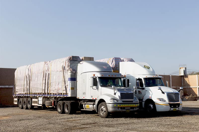 img-msc-casas-01-min