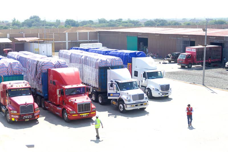 img-msc-casas-05-min